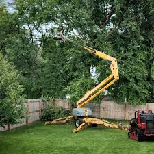 Best Leaf Removal  in Badin, NC