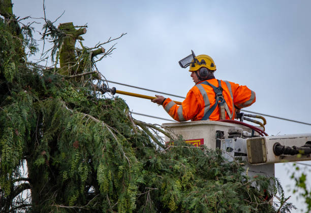 Best Utility Line Clearance  in Badin, NC