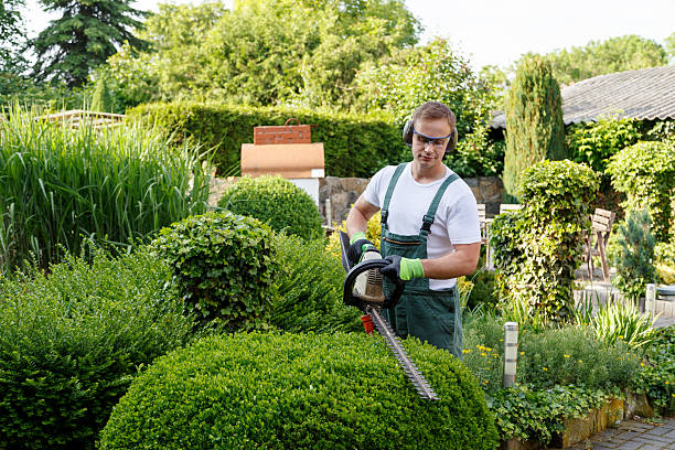 Best Sod Installation  in Badin, NC